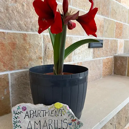 Apartamento Amarilis